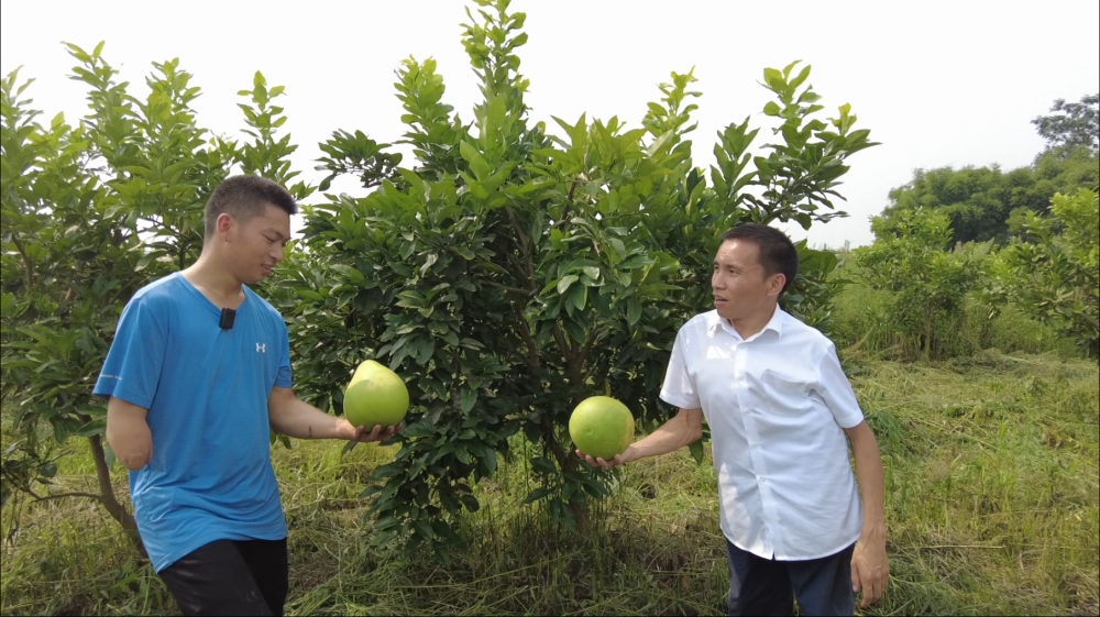 助残帮扶益启富优秀案例